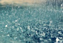 जिले में अब तक लगभग 15 इंच वर्षा दर्ज…