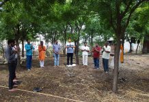 पर्यावरण के लिए जागरूक हो रहे है रतलामवासी एवं युवा, बनाई नीम गिलोय हब एवं बचाये पीपल के वृक्ष….