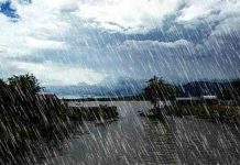 जानिए अब तक जिले में कितने इंच हुई बारिश?