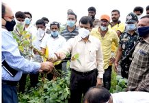 कलेक्टर डॉड कृषि वैज्ञानिकों को साथ लेकर पहुंचे किसानो के खेतों में