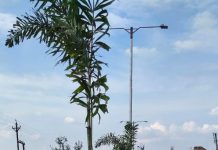 शहर में पर्यावरण संरक्षण के लिए अनूठी पहल, वृक्षारोपण के साथ साथ सौंदर्यीकरण का भी लक्ष्य! जानिए क्या है यह पहल….