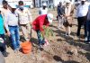 कलेक्टर कुमार पुरुषोत्तम ने कलेक्ट्रेट परिसर में किया पौधारोपण
