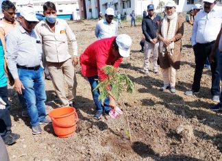 कलेक्टर कुमार पुरुषोत्तम ने कलेक्ट्रेट परिसर में किया पौधारोपण