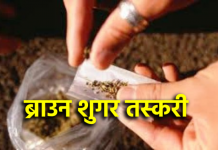 इन्दौर व राजस्थान के ब्राउन शुगर तस्कर रतलाम पुलिस की गिरफ्त मे…