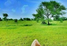 निशुल्क प्रज्ञावान-प्रज्ञा योग प्राणायाम एवं ध्यान शिविर 5 से 12 जून तक, 75 से अधिक लोगों ने कराया पंजीयन…