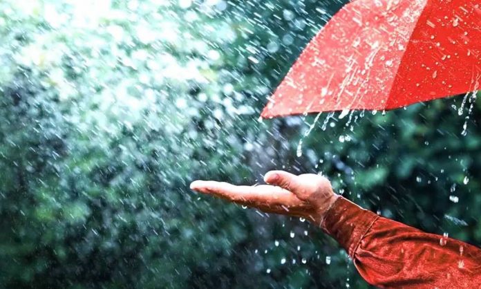 1223165-barish