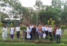 एसबीआई स्थापना दिवस एवं डॉक्टर्स डे के अवसर शाखा औद्योगिक क्षेत्र द्वारा पौधारोपण….