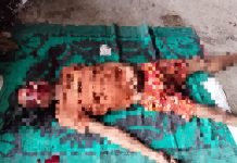 नामली (रतलाम) में युवक की धारदार हथियार से हत्या, पुलिस जुटी जाँच में…