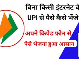 इंटरनेट के बिना कैसे होगी UPI पेमेंट, जानें पूरी प्रक्रिया