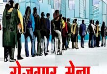 जिला स्तरीय रोजगार मेले का आयोजन 28 अक्टूबर को…