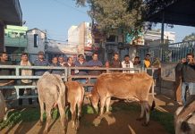 गो सेवा एवं मानव सेवा कर मनाया प्रवर्तकश्री का जन्मदिवस…