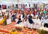 मुख्यमंत्री शिवराज सिंह चौहान ने रतलाम जिले के 500 से अधिक पीएम आवास हितग्राहियों के खातों में साढे 4 करोड रुपए से अधिक राशि अंतरित की