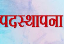 जिले में तहसीलदारों की नवीन पदस्थापना, जानिए किसे मिला कहा का दायित्व…